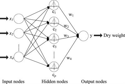 Multiple Laplacian Regularized RBF Neural Network for Assessing Dry Weight of Patients With End-Stage Renal Disease